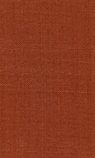 [25728-27] Zinnia-27