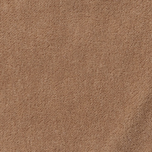 Duke-02