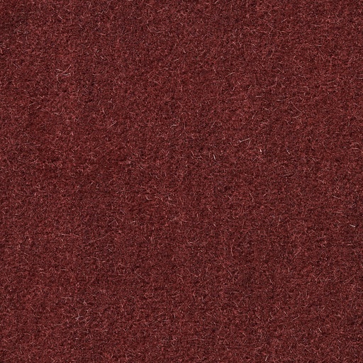 Duke-10