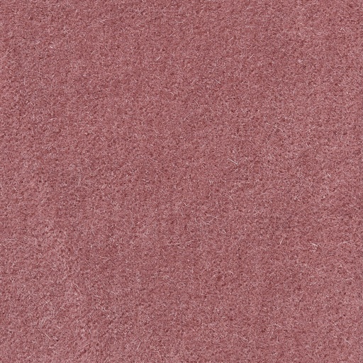 Duke-20