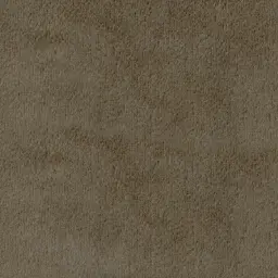 [38297-07] Canaan-07