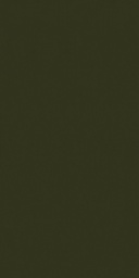 [38513-19] Concord-19