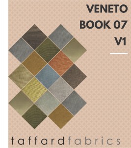 Veneto book07v1-01